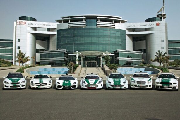 Dubai Police Image for illustrative purposes courtesy WAM
