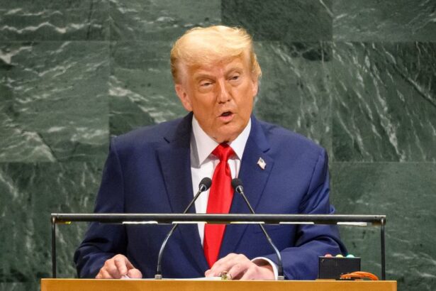 image1170x530cropped