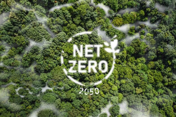 net zero min