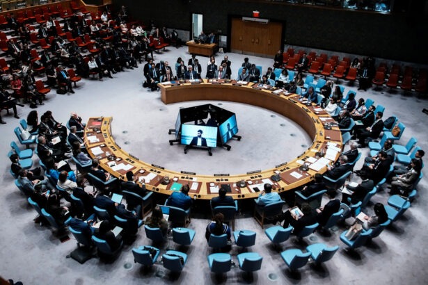 UN SecurityCouncil BG 1