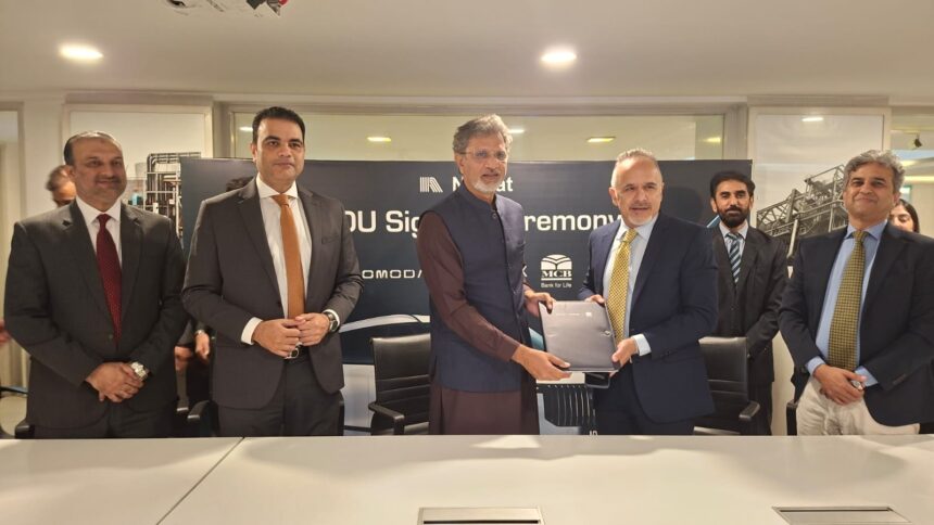 WhatsApp Image 2025 11 04 at 5.59.55 PM